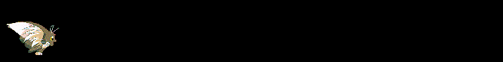 Ryo-ohki
