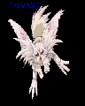 Kenohki